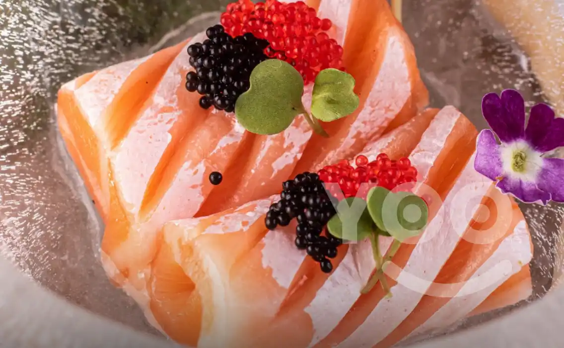 Tojiro Sushi gastronomia japonesa Casa Verde com peixes frescos