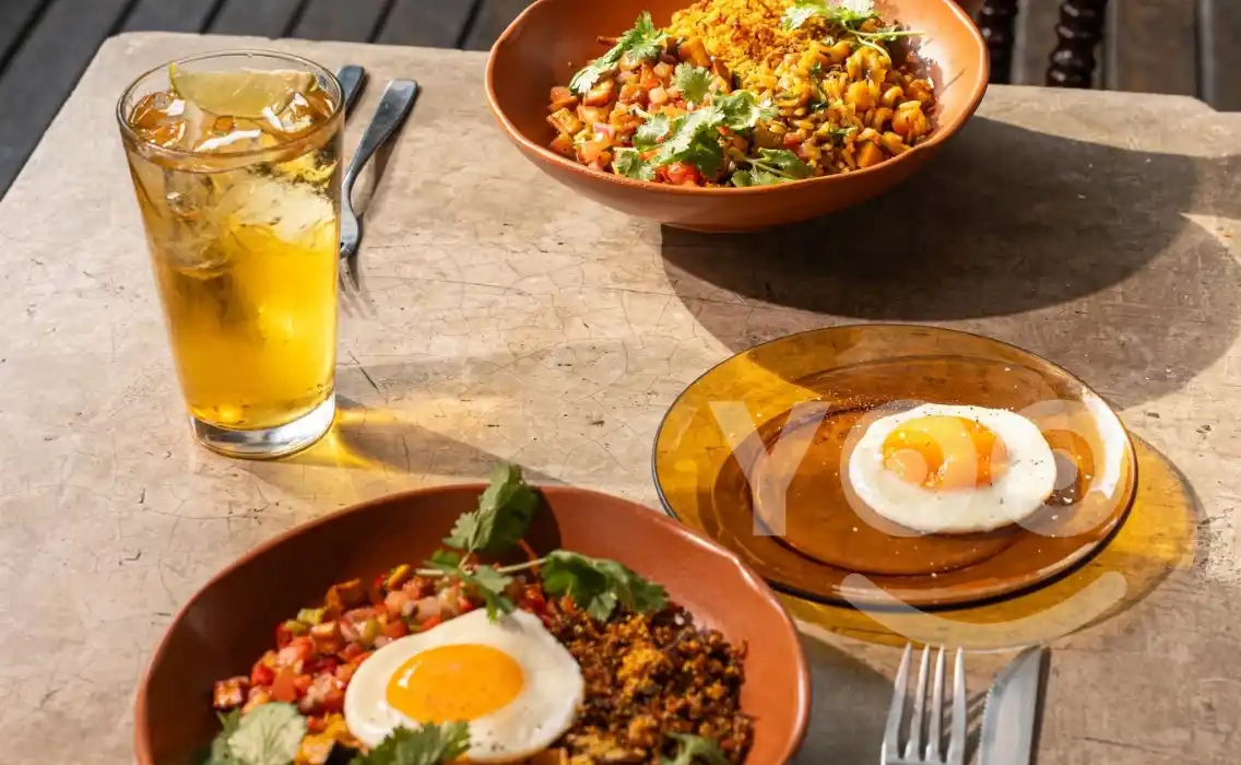 Fito gastronomia em Pinheiros